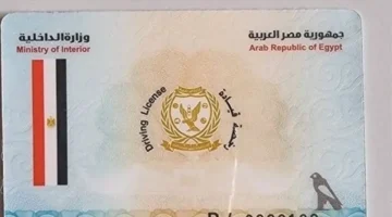 رخصة القيادة الأولى.. شروط استخراج التصريح والمستندات المطلوبة في عام 2026